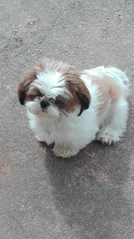 Lola la chatouilleuse