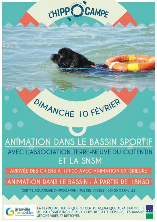 Demonstration en piscine