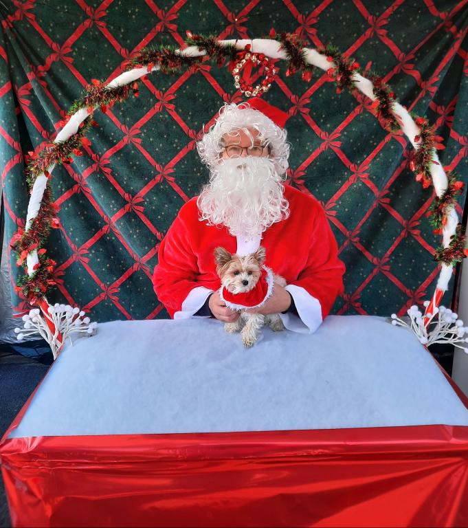 les toutous  de Nol 2/3